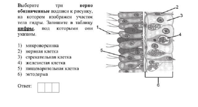 Сайт кракен онион