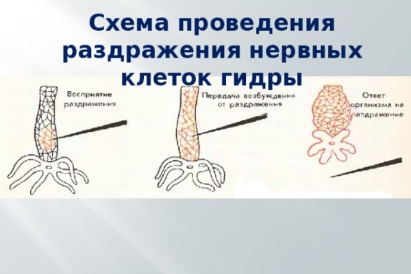 Рабочий кракен