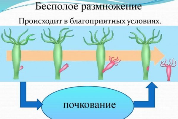 Кракен есть все