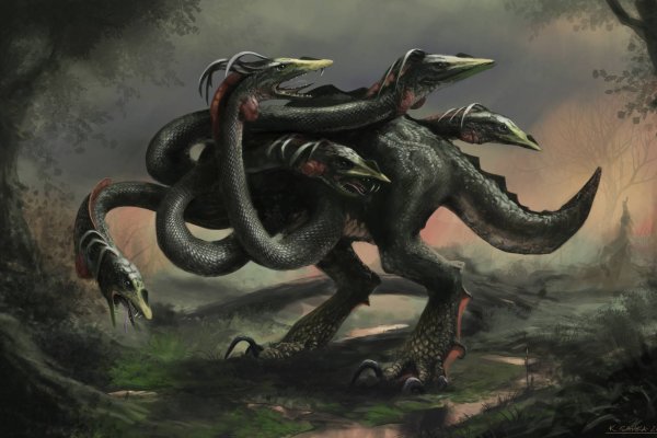 Kraken 24at