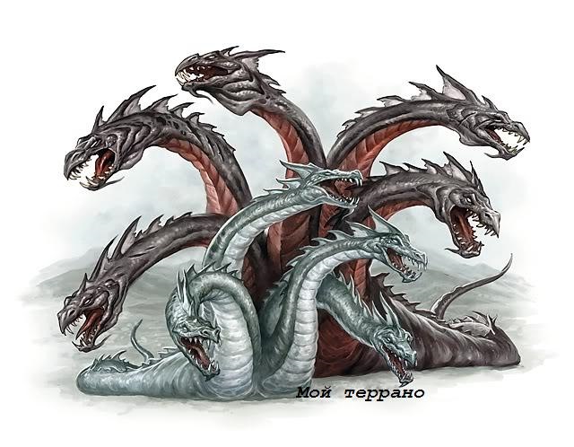 Kraken вы забанены сколько ждать